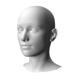 Modelo de perfil facial para análisis de piel