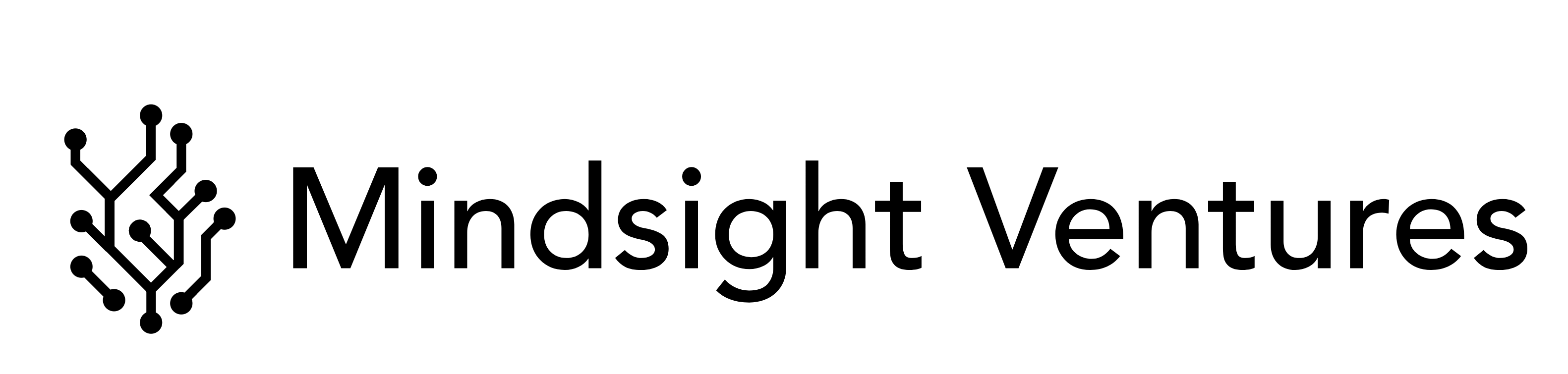 Mindsight Ventures Logo